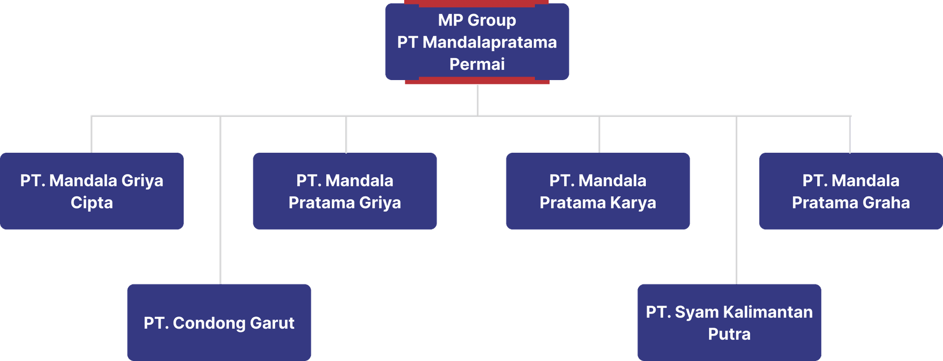 company-structure